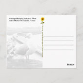 Mont-Saint-Michel Lookout, Normandie, Frankreich - Postkarte (Rückseite)