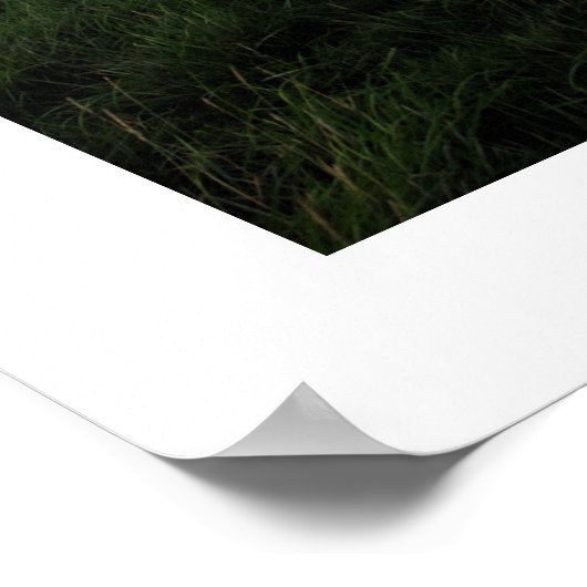 MONT ST MICHEL Poster (Ecke)