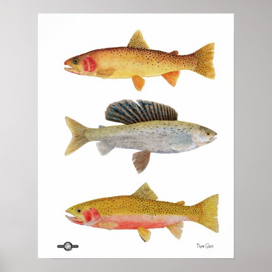 Montana Beauties Poster (Vorne)