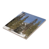 Montana Bergbahnen im Winter Landschaftsbild Foto Fliese (Seite)