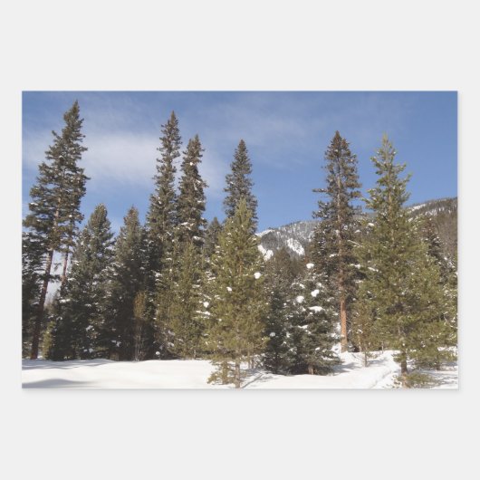 Montana Bergbahnen im Winter Landschaftsbild Foto Geschenkpapier Set (Vorderseite 2)