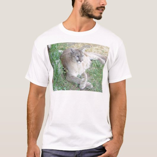 Montana-Berglöwe T-Shirt (Vorderseite)