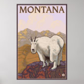 Montana - Bergziege Poster (Vorne)