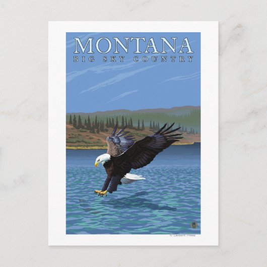 Montana — Big Sky CountryDiving Eagle Postkarte (Vorderseite)