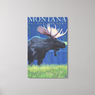 Montana — Big Sky CountryElche im Mondlicht Leinwanddruck