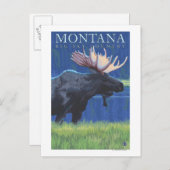 Montana — Big Sky CountryElche im Mondlicht Postkarte (Vorne/Hinten)