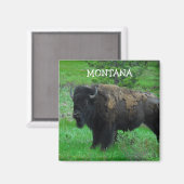 Montana Bison Magnet (Vorderseite/Rückseite)