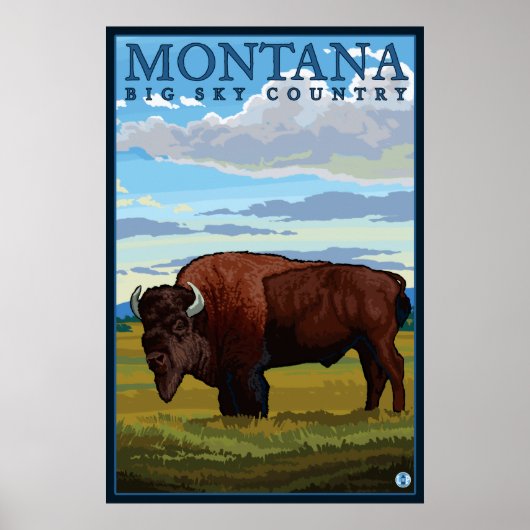 Montana - Bison Poster (Vorne)