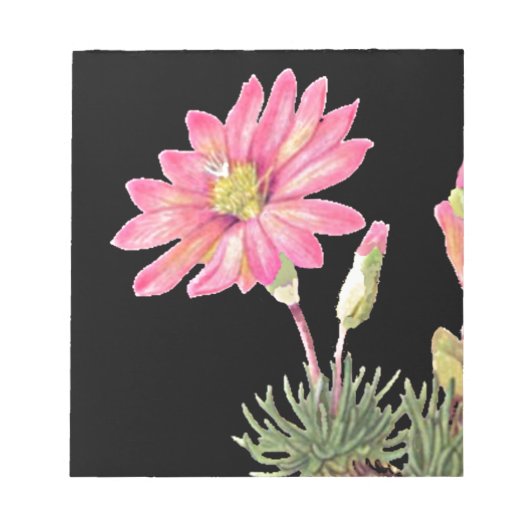 Montana Bitterroot Notizblock (Vorderseite)