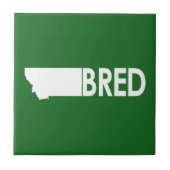 Montana Bred Fliese (Vorderseite)