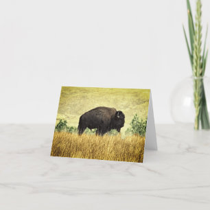 Montana-Büffel Karte