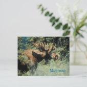 Montana-Bulle Postkarte (Stehend Vorderseite)