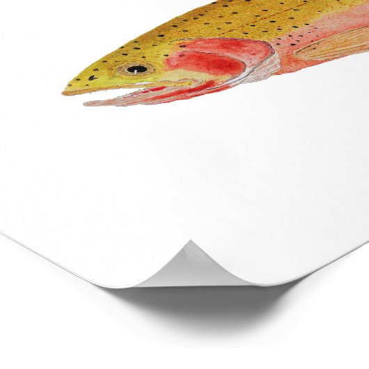 Montana Cuthroats Poster (Ecke)