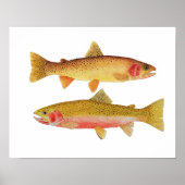 Montana Cuthroats Poster (Vorne)