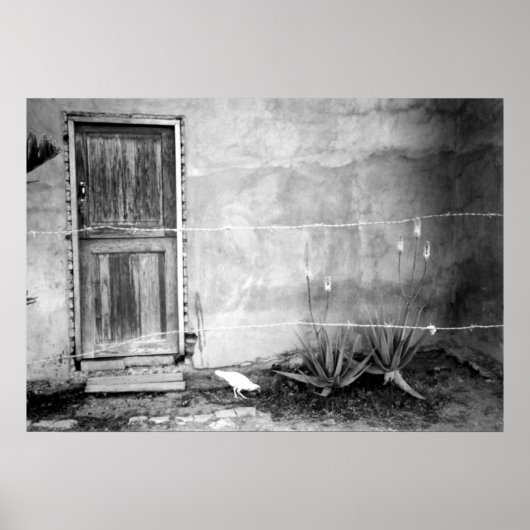 Montana de' Luz, Honduras Poster (Vorne)