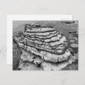 Montaña de Oro Staat Park California Postkarte (Vorne/Hinten)