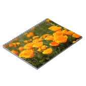 Montana de Oro Staat Park Notizblock (Linke Seite)