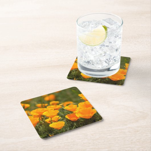 Montana de Oro Staat Park Rechteckiger Pappuntersetzer (Vor Ort)