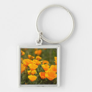 Montana de Oro Staat Park Schlüsselanhänger