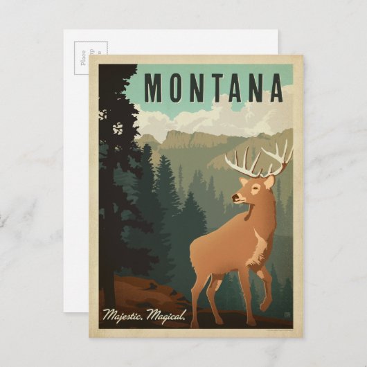 Montana Deer | majestätisch, magisch Postkarte (Vorne/Hinten)