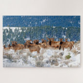 Montana Elk Herd Puzzle (Horizontal)