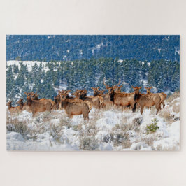 Montana Elk Herd Puzzle
