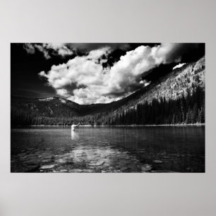 Montana Fisherman Poster