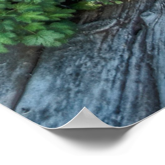 Montana Ghost Stadt Outhouse Poster (Ecke)