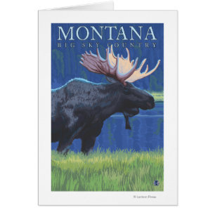 Montana -- Großer Himmel CountryMoose im