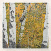 Montana Herbstglas-Untersetzer Glasuntersetzer (Vorderseite)