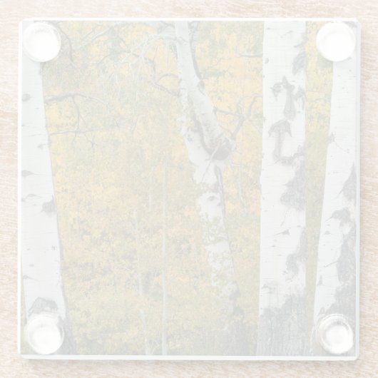 Montana Herbstglas-Untersetzer Glasuntersetzer (Rückseite)