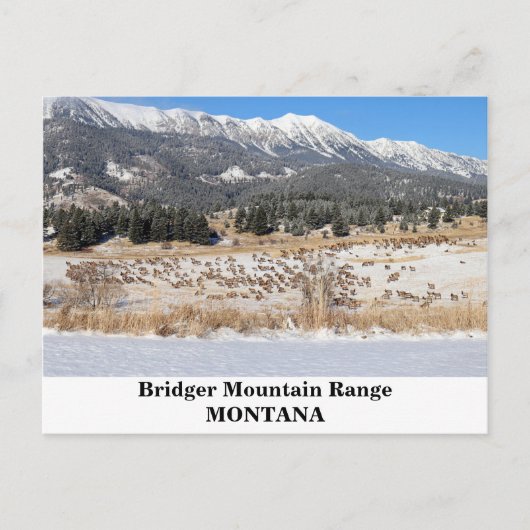 Montana Highlights Postkarte (Vorderseite)