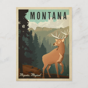 Montana-Hirsche Majestätisch, Magisch Postkarte