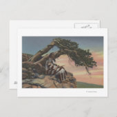 Montana - Indischer Chef des Glacier-Nationalparks Postkarte (Vorne/Hinten)