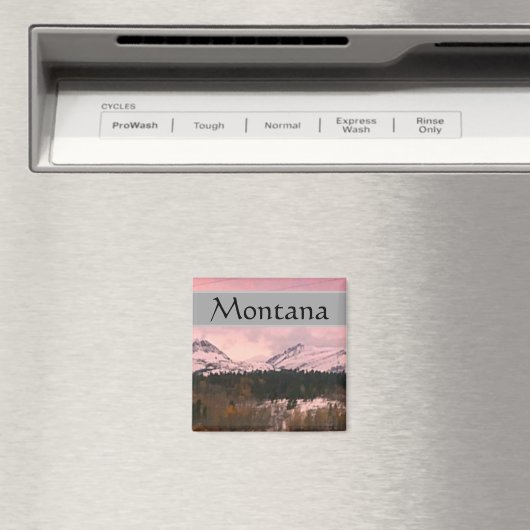 Montana Magnet (In Situ (Geschirrspüler))