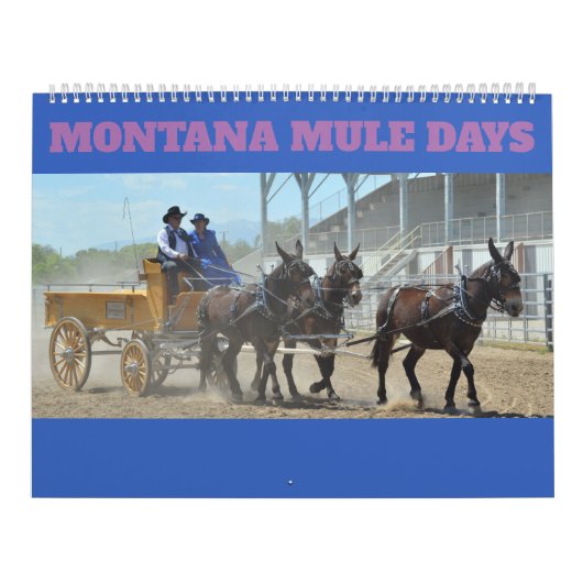 Montana-Maultier-Tage Kalender (Titelbild)