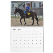 Montana-Maultier-Tage Kalender (Mär 2027)