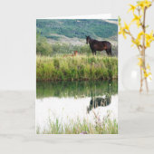 Montana Pferde Karte (Gelbe Blume)