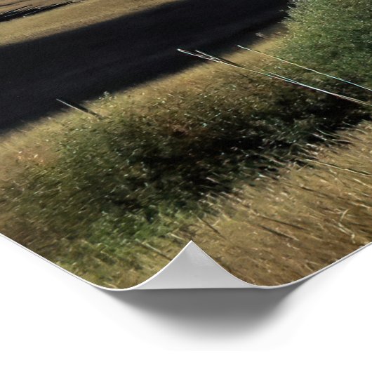 Montana Poster (Ecke)