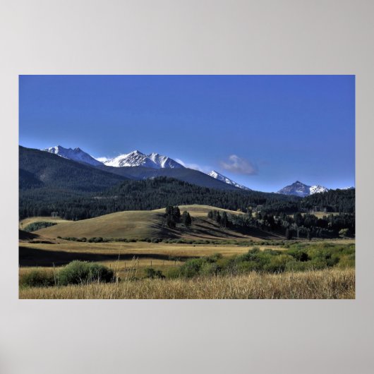 Montana Poster (Vorne)