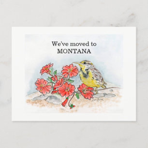 Montana Postkarte