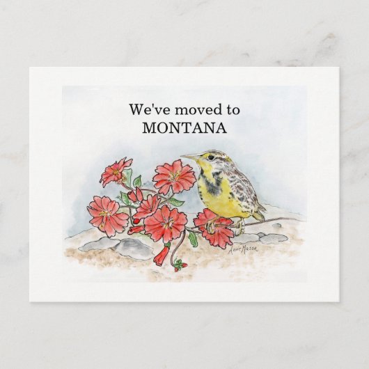Montana Postkarte (Vorderseite)