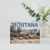 MONTANA POSTKARTE (Stehend Vorderseite)