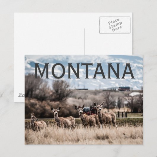 MONTANA POSTKARTE (Vorne/Hinten)