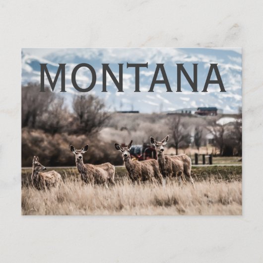 MONTANA POSTKARTE (Vorderseite)