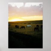 Montana Sky Poster (Vorne)