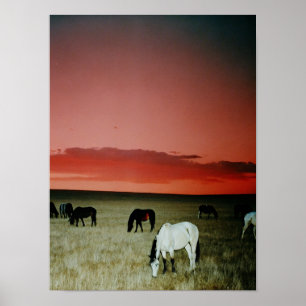 Montana-Sonnenuntergang Poster