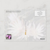 Montana Staat Blume: Bitterroot Postkarte (Rückseite)