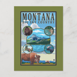 Montana Staat Scenes Postkarte
