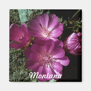 Montana-Staats-Blumebitterroot-Magnet Magnet